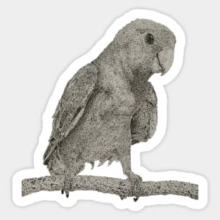 Dotwork Lovebird Art Print Sticker